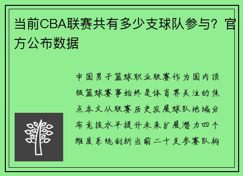当前CBA联赛共有多少支球队参与？官方公布数据